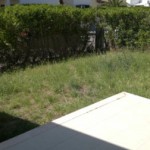 2015-05-12-238 – Copy