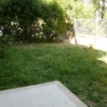 2015-05-12-242 – Copy