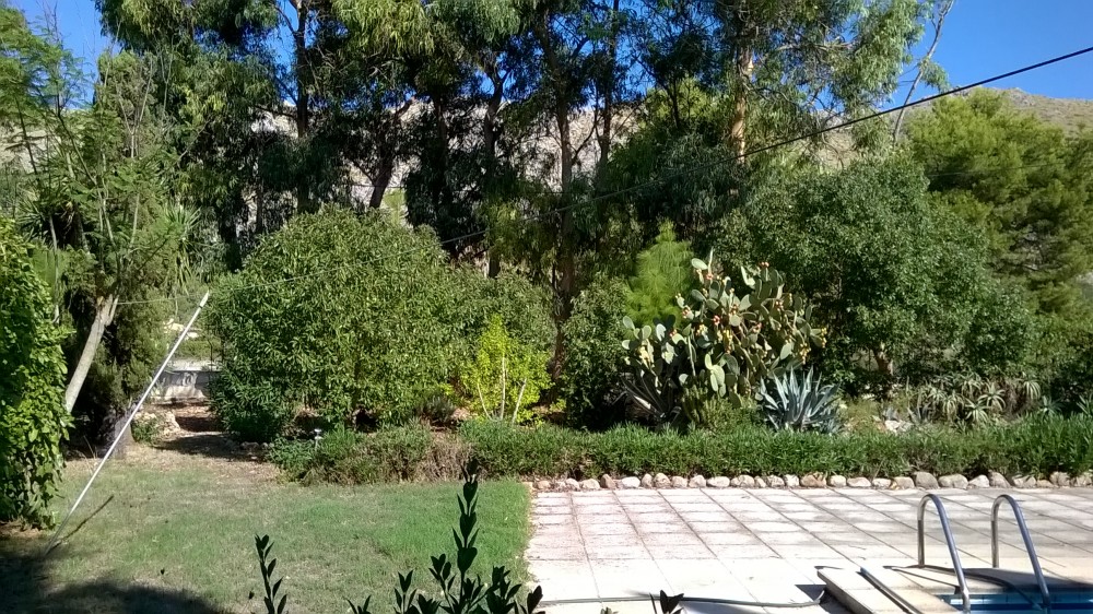 WP_20150827_10_22_15_Pro