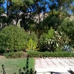 WP_20150827_10_22_15_Pro