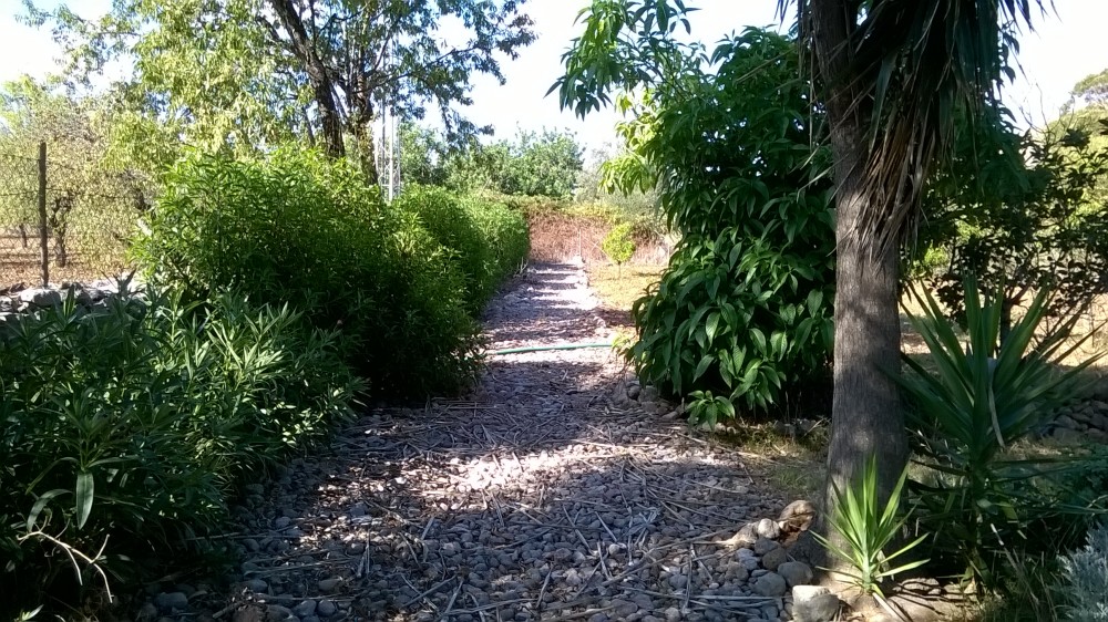 WP_20150827_10_22_26_Pro