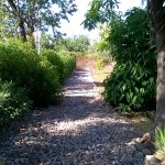 WP_20150827_10_22_26_Pro