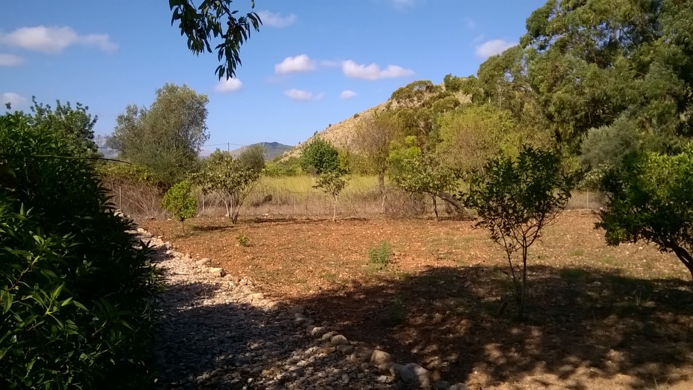 WP_20150827_10_22_49_Pro