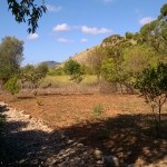 WP_20150827_10_22_49_Pro