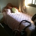 WP_20150827_10_27_25_Pro